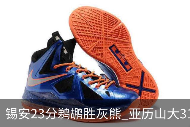 锡安23分鹈鹕胜灰熊 亚历山大31+10雷霆屠公牛